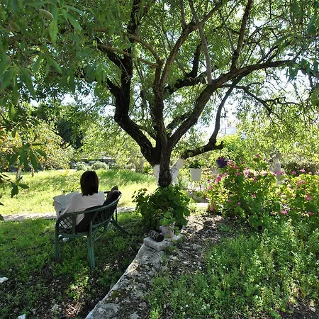 Lejlighed En Kefallinia Villas (adults Only) *